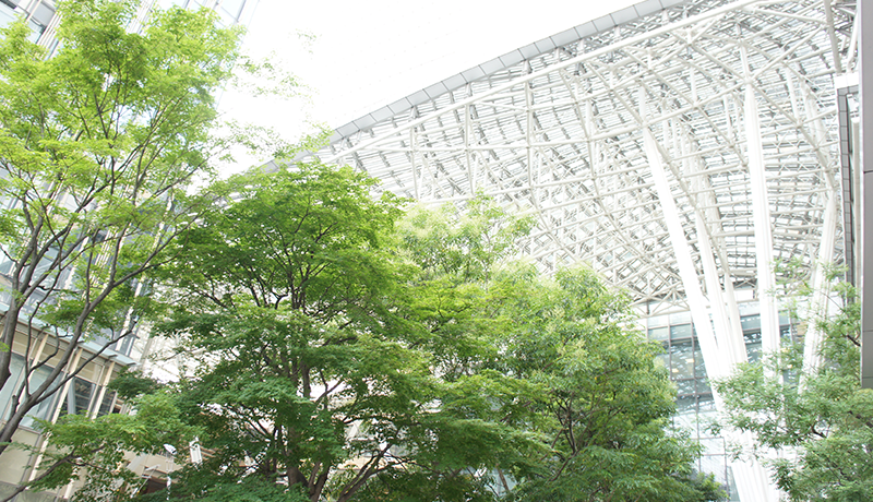 亚博体育1.3小组赛 被派主管国際大会で史上初めてブラジルを撃破した代表チームの詐欺は非常に高い